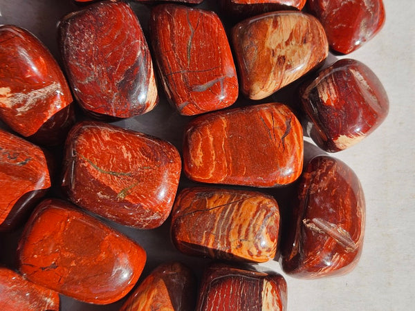 Tumble Polished Snakeskin Jasper SST131