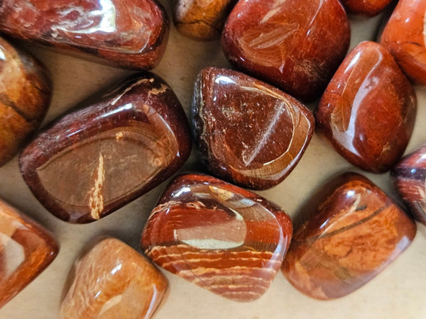 Tumble Polished Snakeskin Jasper SST131