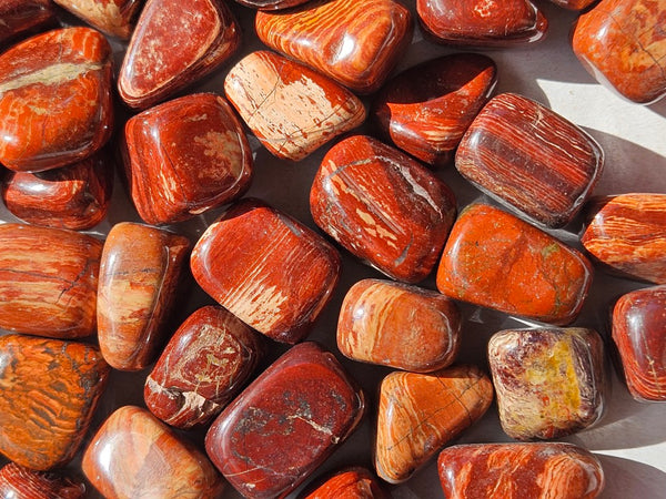 1 kg. Tumble Polished Snakeskin Jasper SST132