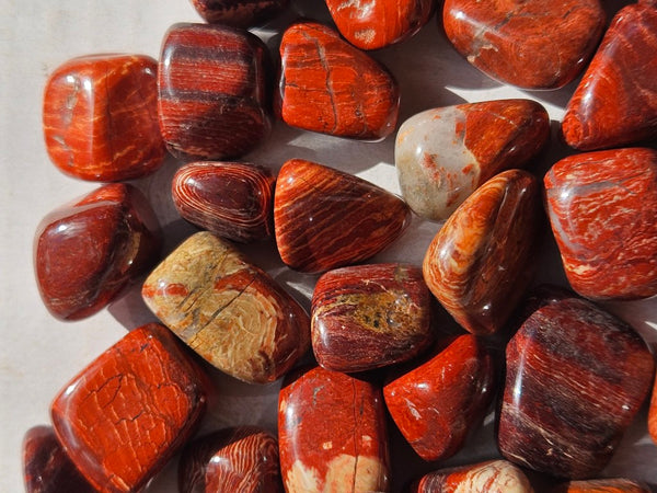 1 kg. Tumble Polished Snakeskin Jasper SST132