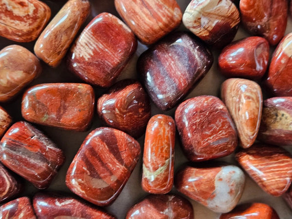 1 kg. Tumble Polished Snakeskin Jasper SST132