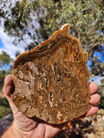 Polished Aragonite slab AR106