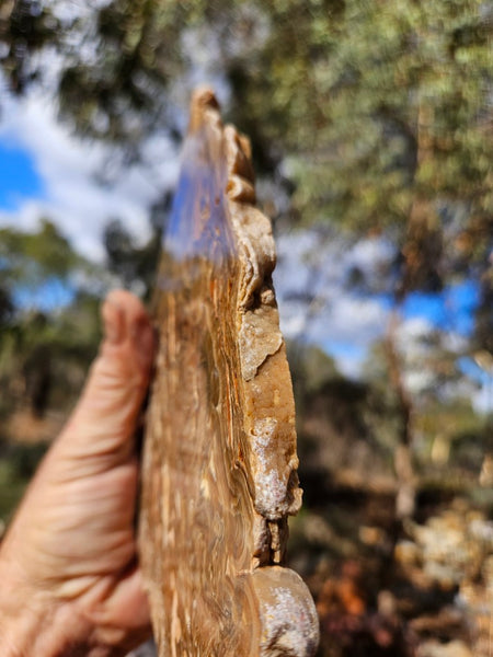 Polished Aragonite slab AR106