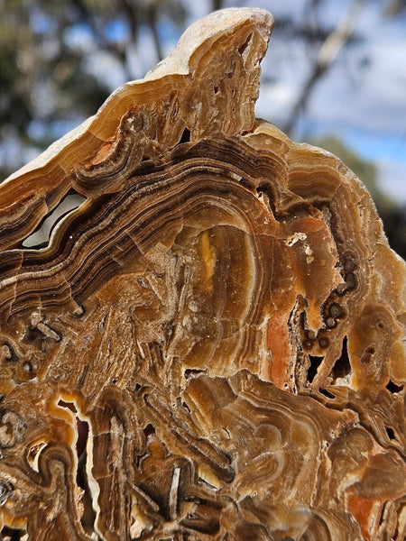 Polished Aragonite slab AR106