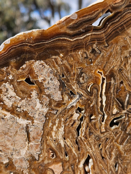 Polished Aragonite slab AR106