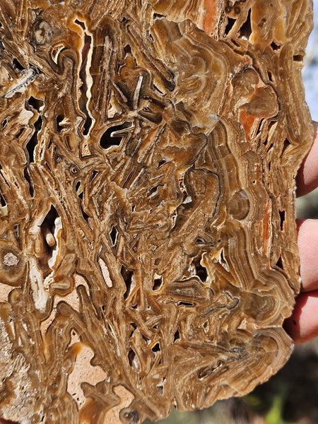 Polished Aragonite slab AR106
