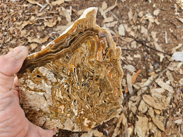 Polished Aragonite slab AR106