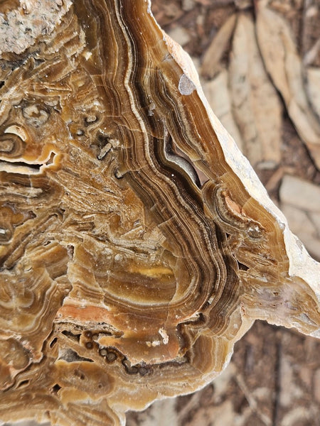 Polished Aragonite slab AR106