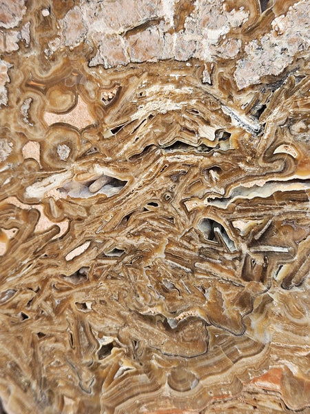Polished Aragonite slab AR106