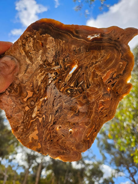 Polished Aragonite slab AR106