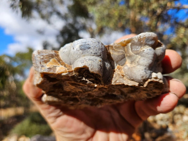 Polished Aragonite AR101