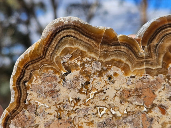 Polished Aragonite AR101