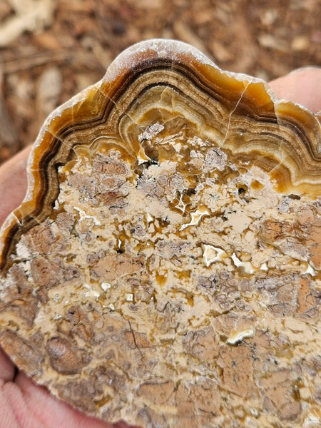 Polished Aragonite AR101