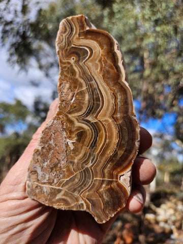 Polished Aragonite AR102