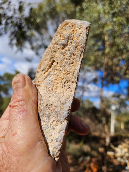 Polished Aragonite AR102