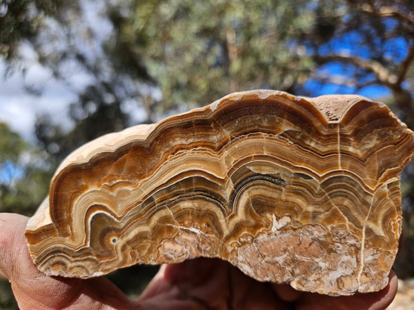 Polished Aragonite AR102