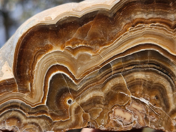 Polished Aragonite AR102