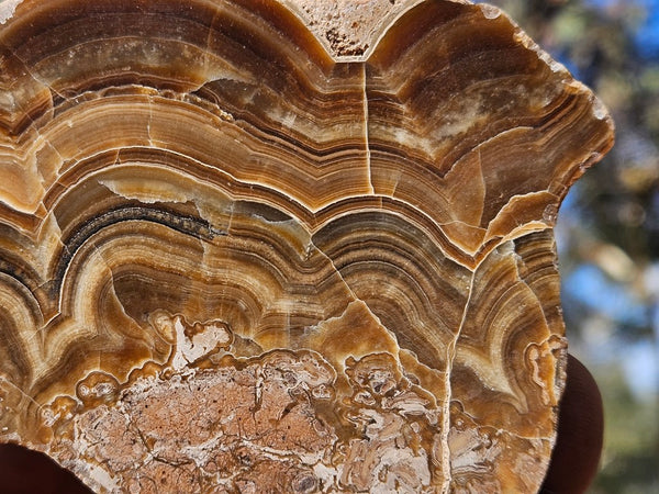 Polished Aragonite AR102