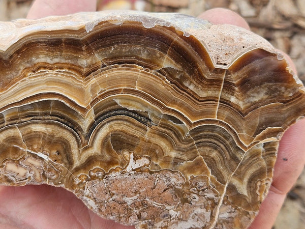 Polished Aragonite AR102