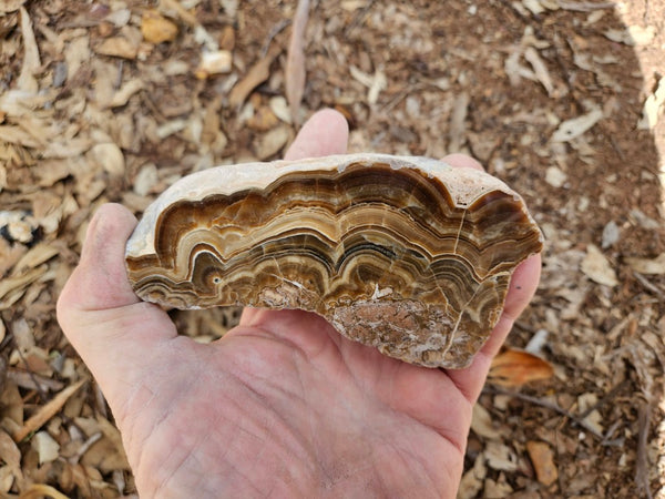 Polished Aragonite AR102