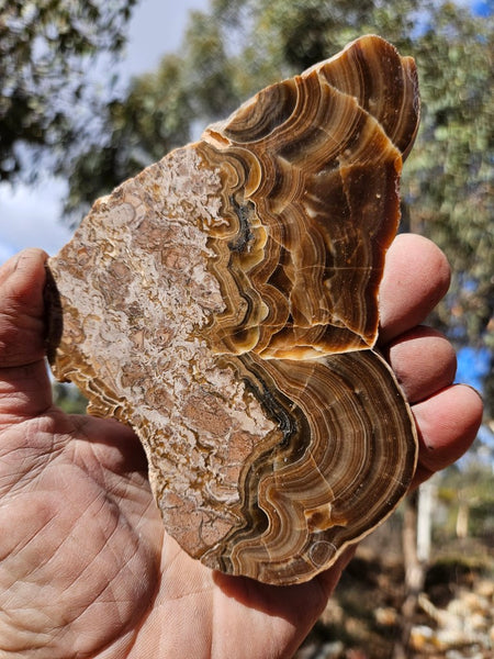 Polished Aragonite slab AR105