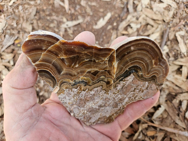 Polished Aragonite slab AR105