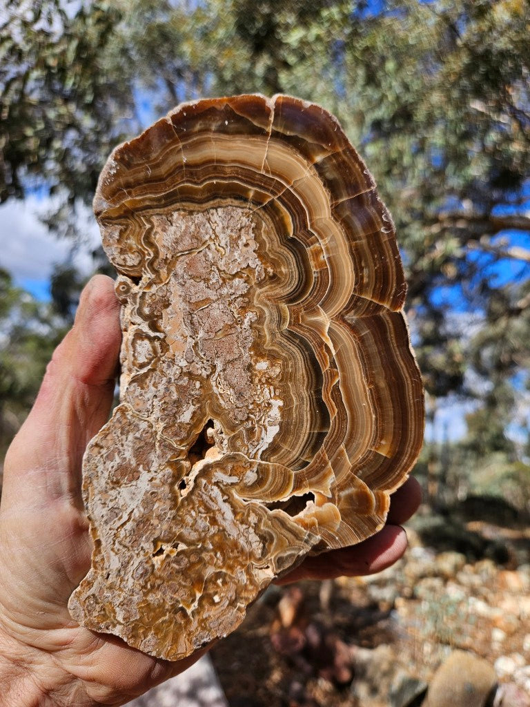 Polished Aragonite AR103