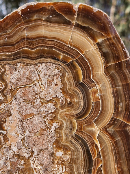 Polished Aragonite AR103