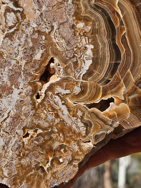 Polished Aragonite AR103