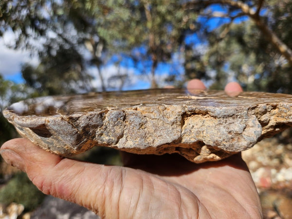 Polished Aragonite AR103