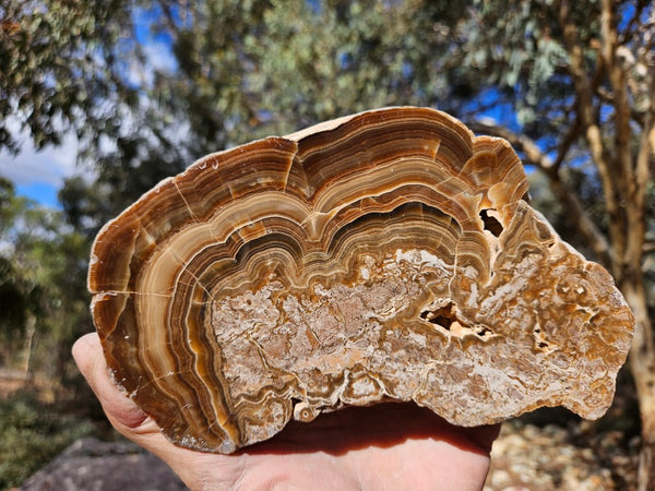 Polished Aragonite AR103