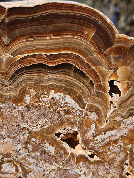 Polished Aragonite AR103