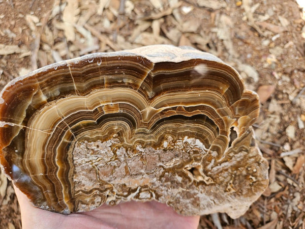 Polished Aragonite AR103