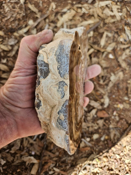 Polished Aragonite AR103