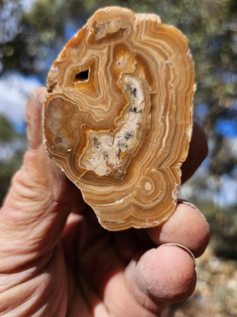 Polished Aragonite AR104