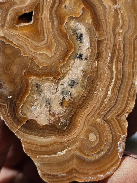 Polished Aragonite AR104