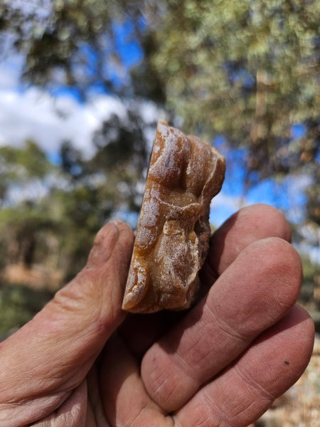 Polished Aragonite AR104