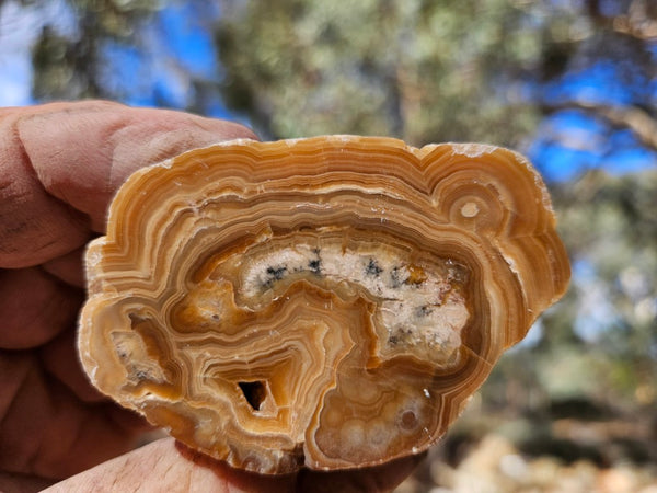 Polished Aragonite AR104