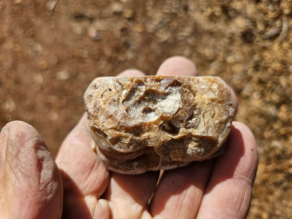Polished Aragonite AR104