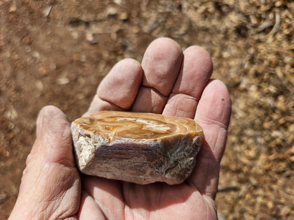 Polished Aragonite AR104