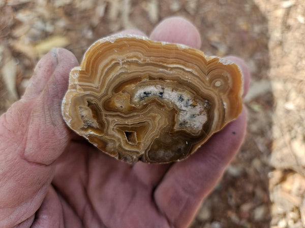 Polished Aragonite AR104