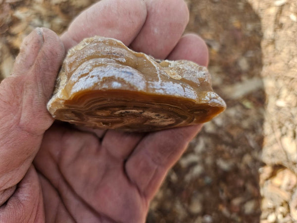 Polished Aragonite AR104