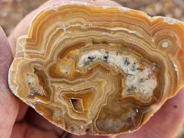 Polished Aragonite AR104