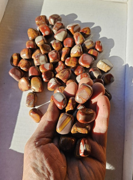 1 Kg. Tumble Polished Noreena Jasper NJT139