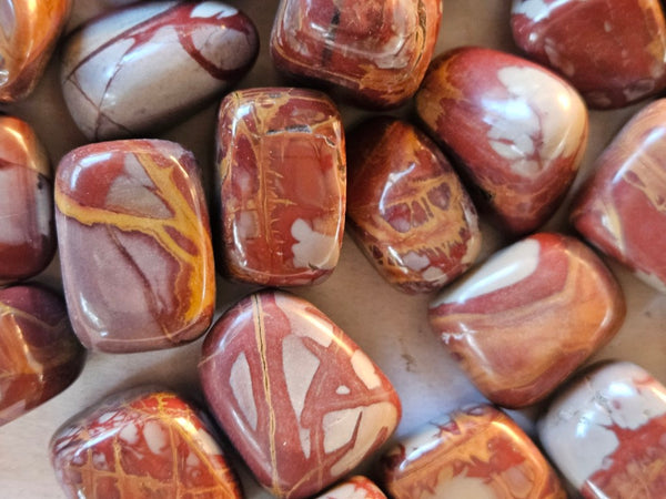 1 Kg. Tumble Polished Noreena Jasper NJT139