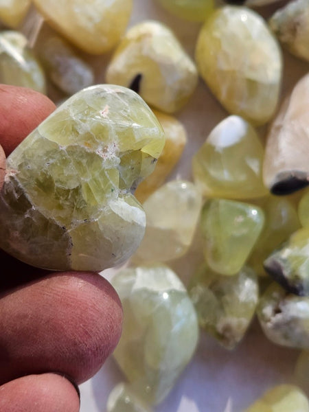 Tumble Polished Prehnite PRT121