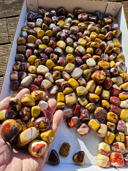 3 kg. Tumble Polished Mookaite MKT199