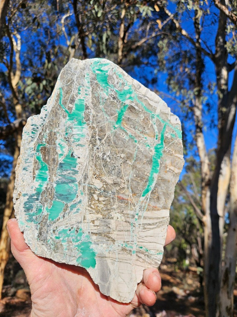 Variscite Polished Slab.  VP 310