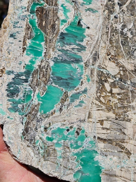 Variscite Polished Slab.  VP 310