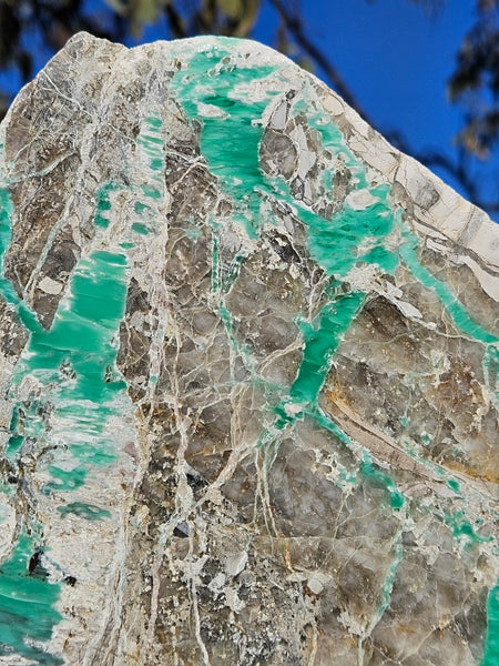 Variscite Polished Slab.  VP 310